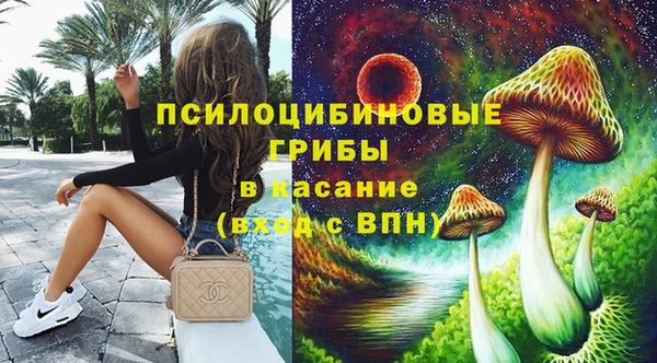 трава Алзамай