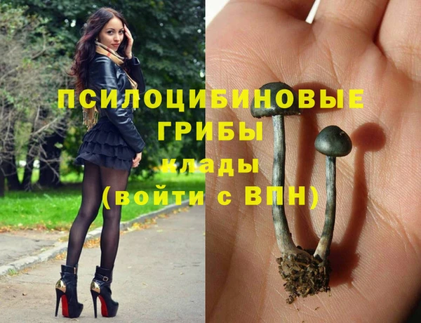 МДПВ Алексеевка